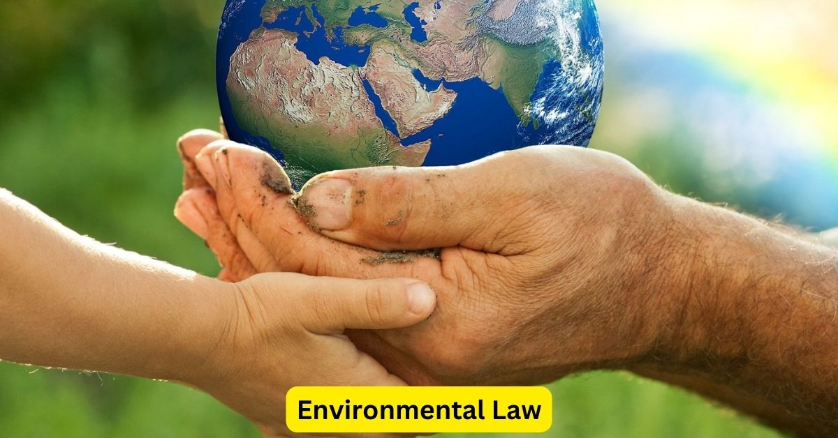 Environmental Law: The Role of Attorneys in Protecting the Planet