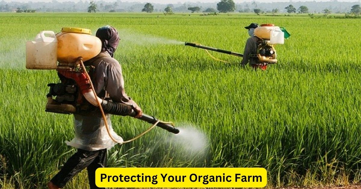 Protecting Your Organic Farm: The Essential Guide to Insurance